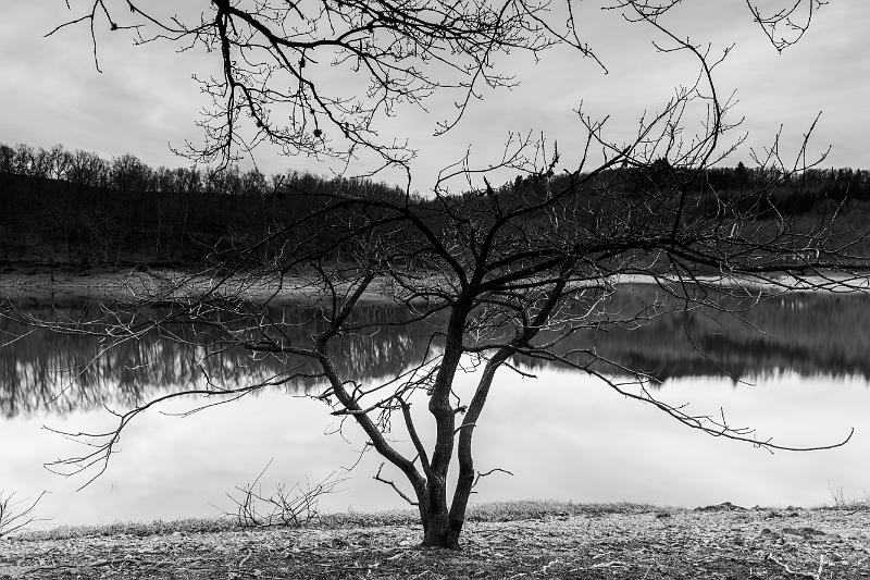 2020_02_15_lac de panneciere (0031).jpg - Lac de Pannecière (Février 2020)